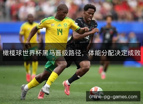 橄榄球世界杯黑马晋级路径，体能分配决定成败
